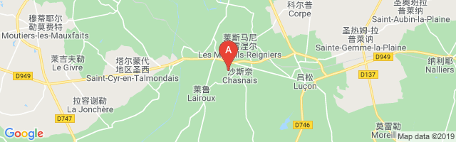 Luçon - Chasnais Aerodrome Airport图片