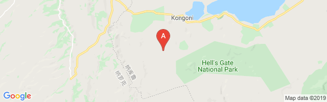 Kongoni Airport图片