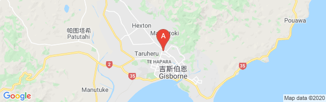 Gisborne Hospital Airport图片