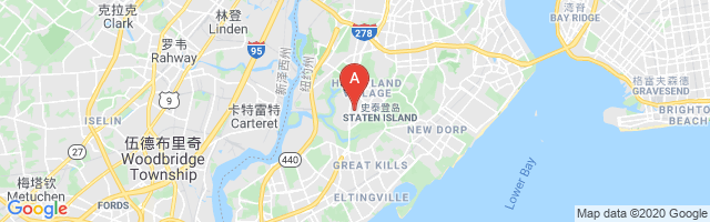 Staten Island Airport图片