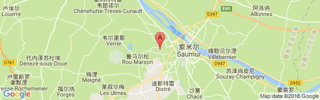 Saumur-Saint-Florent Airport图片