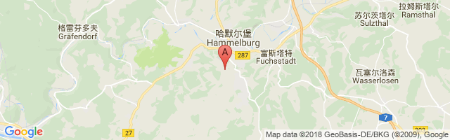 Lager Hammelburg Airport图片