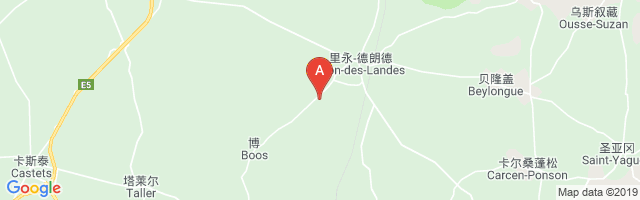 Rion Des Landes Airport图片