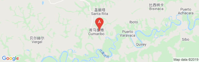 Cumaribo Airport图片