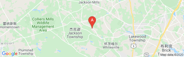 Holmansville Airport图片