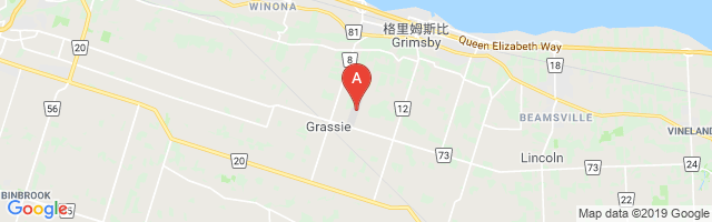 Grimsby Airpark Airport图片