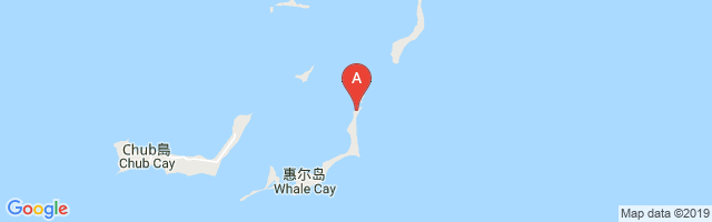 Little Whale Cay Berry Islands Airport图片
