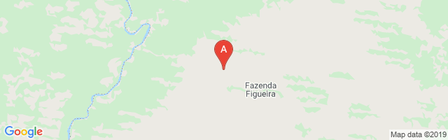 Fazenda São Francisco Airport图片