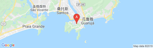 Tame Guarujá Airport图片