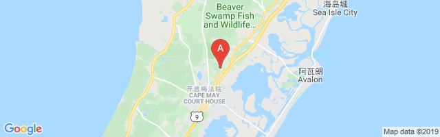 Stone Harbor Golf Club Airport图片