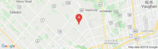 Brampton (National P) Airport图片