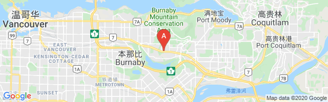 Vancouver / Burnaby (Global BC) Airport图片