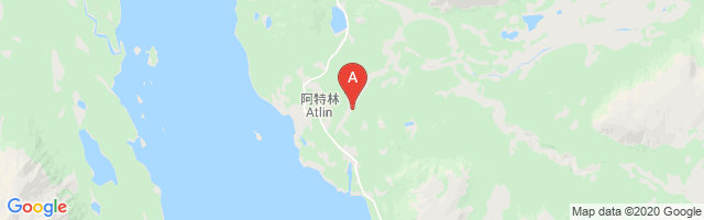Atlin Airport图片
