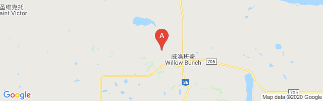 Willow Bunch Airport图片