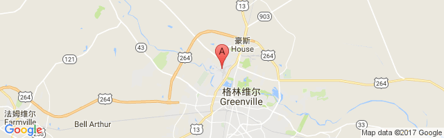 Pitt Greenville Airport图片
