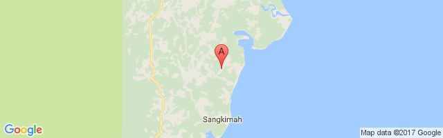 Sanggata/Sangkimah Airport图片