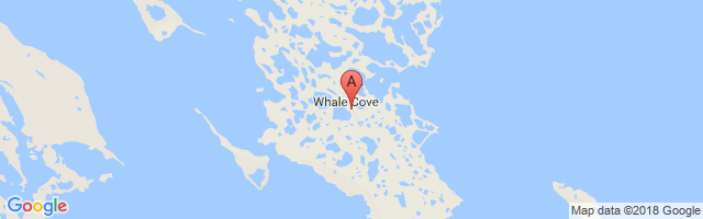 惠尔科夫机场 Whale Cove Airport图片