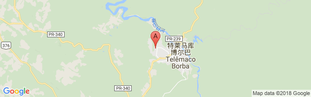 Telêmaco Borba Airport图片