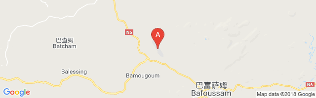 Bafoussam Airport图片