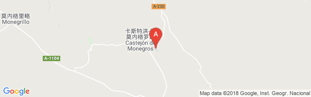 Castejón de los Monegros Airport图片
