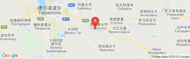 Ternopil International Airport图片