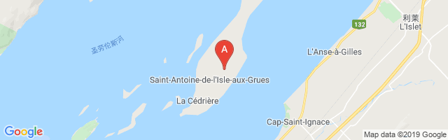 Île-aux-Grues Airport图片