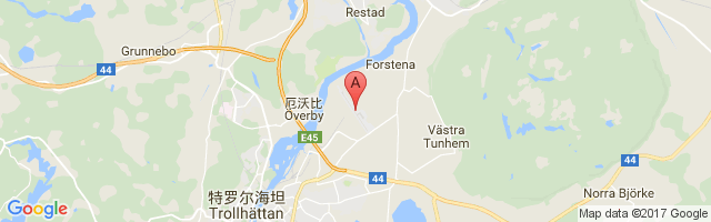 Trollhättan-Vänersborg Airport图片