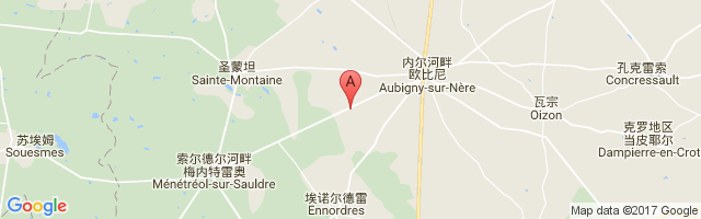 Aubigny-sur-Nère Airport图片