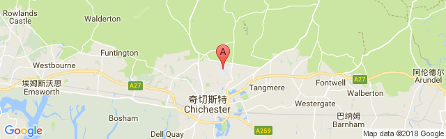 Chichester/Goodwood Airport图片