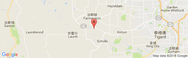 Stark's Twin Oaks Airpark Airport图片