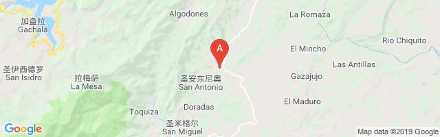 San Pedro De Jagua Airport图片