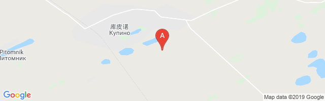 Kupino Air Base Airport图片