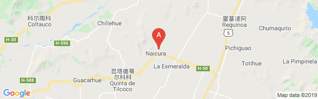 Fundo Naicura Airport图片