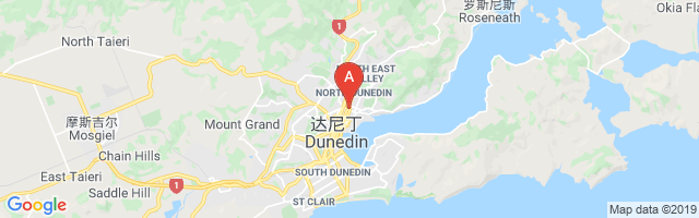 Dunedin Hospital Airport图片