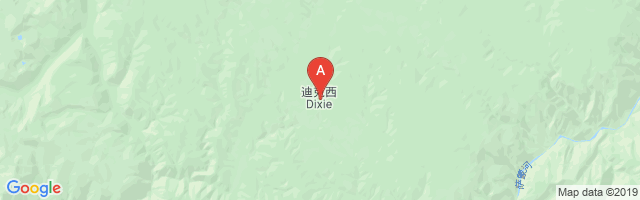 Dixie Town Airport图片