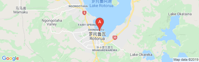 Rotorua Lakefront Airport图片
