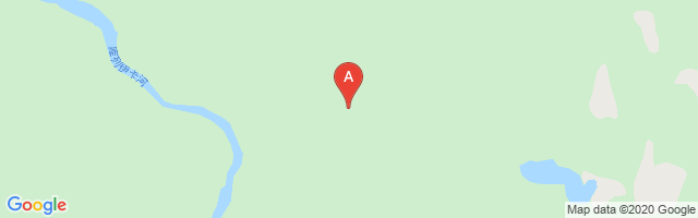 Svetlogorsk Airport图片