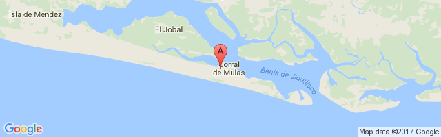 Corral De Mulas Airport图片