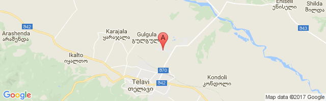 Telavi Kurdgelauri Airport图片