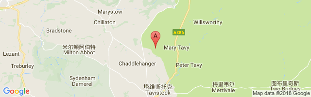 Brent Tor Airfield Airport图片