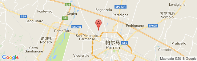 帕尔马机场 Parma Airport图片
