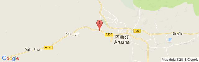 Arusha Airport图片