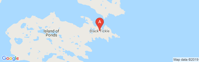 Black Tickle Airport图片