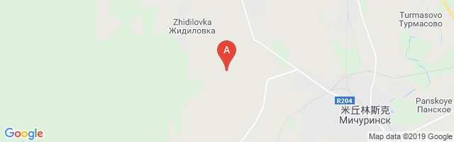 Michurinsk Air Base Airport图片