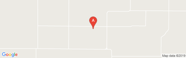 Cluck Ranch Airport图片