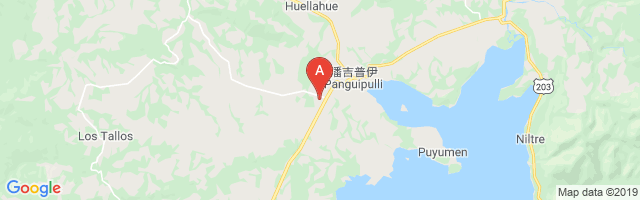 Municipal de Panguipulli Airport图片
