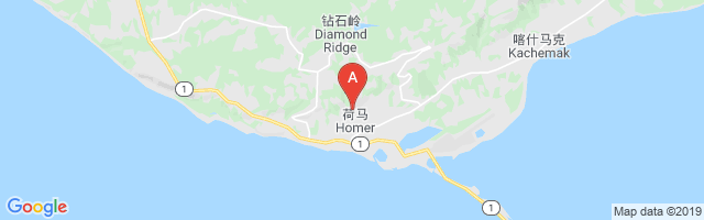 South Peninsula Hospital Airport图片