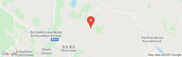 Loginovo Airfield Airport图片