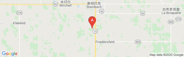 Steinbach (South) Airport图片