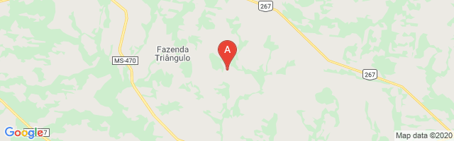 Fazenda Capão Alto Airport图片